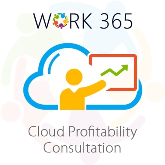 Picture of Cloud Profitability Consultation